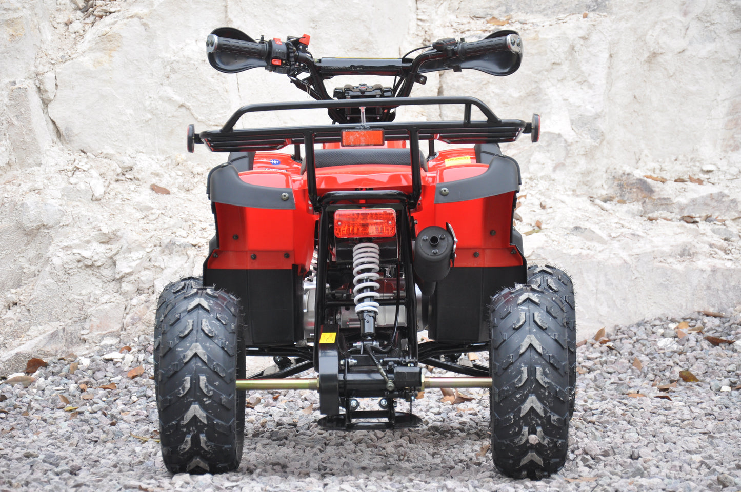 Quad Bike ATV 125CC FARM Version