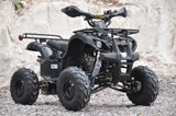 Quad Bike ATV 125CC FARM Version - TDRMOTO