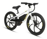Eunorau Electric Bicycle for Junior Kids 24V 10AH 250W White 20" Wheel EBIKE 3 SPEED