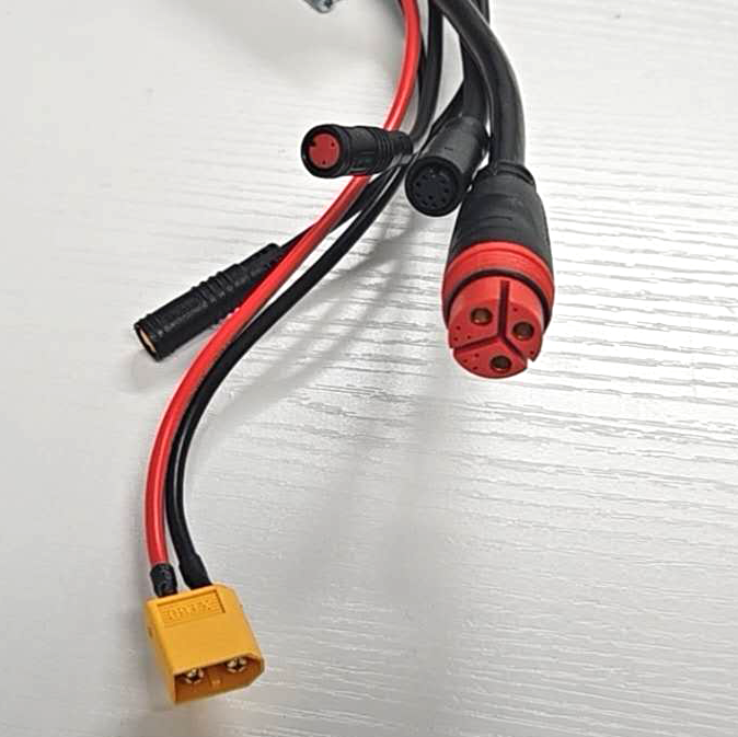48V 22A Controller for the Electric Tricycle S519