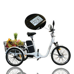 TDR White Electric Tricycle 48V 250W 10AH with Basket Rear Rack Trolley - TDRMOTO