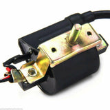 12v Ignition Coil Spark Plug cap 110cc 125 140cc ATV Quad Dirt bike Buggy Gokart - TDRMOTO