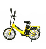 TDR Yellow Cargo Electric Bike 22" 48V 250W Dual Battery Long Range - TDRMOTO