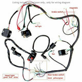 QUAD WIRING HARNESS 200 250cc Chinese Electric start Loncin Zongshen Ducar Lifan - TDRMOTO