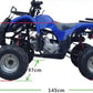 Quad Bike ATV 125CC FARM Version