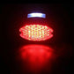 Motorcycle LED Rear Brake Stop Tail License Plate Light Cafe Racer Red Lens