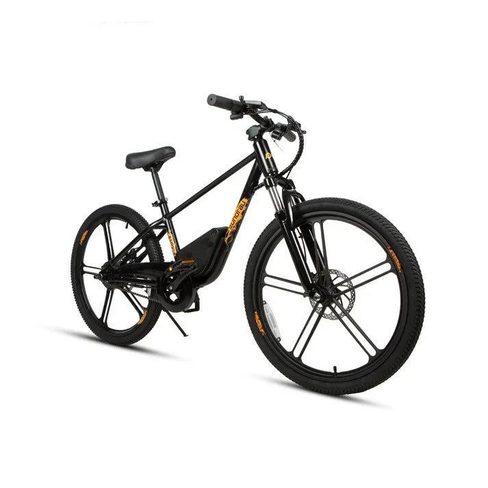 Eunorau 24" Wheel Electric Bicycle for Junior Kids 24V 10AH 250W Black EBIKE 3 SPEED