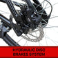 500W Front Hub TDR Mountain Electric Bike 26'' 27.5'' 29" Downtube Battery