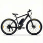 350W TDR Mountain Electric Bike 29" Downtube Battery Black Frame - TDRMOTO