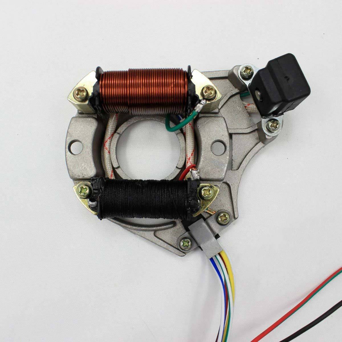 EVGATSAUTO Magneto Statore Rotore Kit per Motore Pit PRO Pit Bike Trail Dirt Bike Magneto Statore Piastra EVGATSAUTO Magneto Statore Rotore Kit per Motore Pit PRO Pit Bike Trail Dirt Bike Magneto Statore Piastra