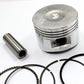 110cc 125cc LIFAN Engine Piston Ring Gasket PIT PRO Dirt Bike ATOMIK THUMPSTAR - TDRMOTO