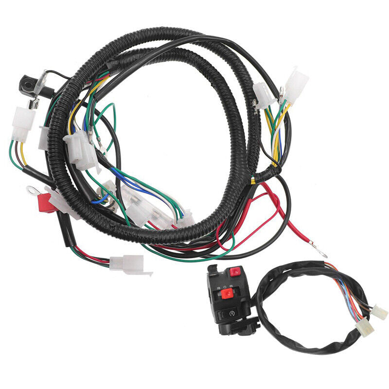 GY6 Engine Wiring Harness Loom For 125cc 150cc 250cc 300cc ATV Quad Buggy Dirt Bike