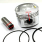 250CC PISTON KIT SET RINGS 65.5mm For Atomik Thumpstar DIRT BIKE ATV QUAD ENGINE - TDRMOTO