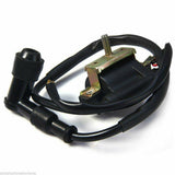 12v Ignition Coil Spark Plug cap 110cc 125 140cc ATV Quad Dirt bike Buggy Gokart - TDRMOTO