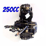 Zonsen(Zongshen) 250cc OHC Air Cooled Engine For Atomik Thumpstar Dirt Bike Motorbike - TDRMOTO