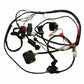 Zongshen ZS190 190cc Engine Motor For Dirt Bike ATV Quad Thumpstar Atomik Motor - TDRMOTO