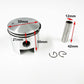Motorised Bike 100cc Engine Rebuild Kit Cylinder Barrel Piston Ring Gasket Kit - TDRMOTO