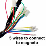 Full Wiring Harness 50/70/90/110CC ATV Quad Bike Buggy GoKart With Remote Control - TDRMOTO