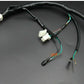 QUAD WIRING HARNESS 200 250cc Chinese Electric start Loncin Zongshen Ducar Lifan - TDRMOTO