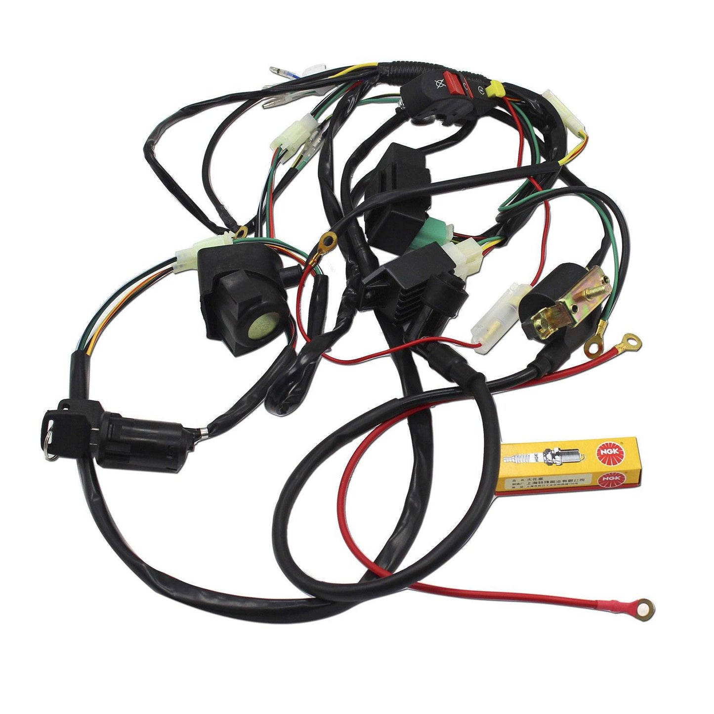 50/70/90/110/125cc 4 Stroke Engine Complete Wiring Loom Harness Thumpster Atomik - TDRMOTO