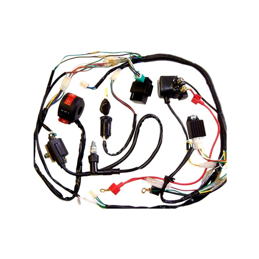 Full Electrics wiring harness coil CDI 50/70/110cc atv quad bike Buggy go kart - TDRMOTO