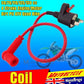 NEW Ignition Coil Honda CRF50 XR50 CRF XR 50 110cc 125cc Atomik Thumpstar - TDRMOTO