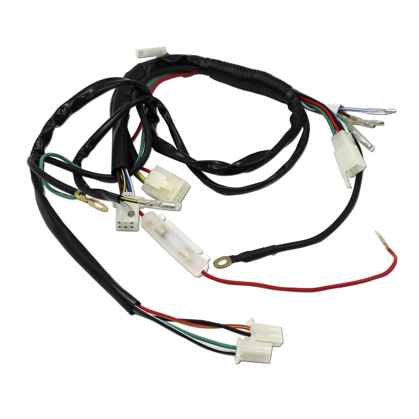 50/70/90/110/125cc 4 Stroke Engine Complete Wiring Loom Harness Thumpster Atomik - TDRMOTO