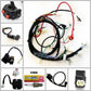 BUGGY WIRING HARNESS LOOM GY6 150cc Chinese Electric start Kandi Go kart dazon - TDRMOTO