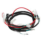 GY6 Engine Wiring Harness Loom For 125cc 150cc 250cc 300cc ATV Quad Buggy Dirt Bike