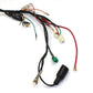 Complete Wiring Harness Loom Throttle Control Switch Lever For Honda Z50 50cc Monkey Bike - TDRMOTO