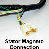 QUAD WIRING HARNESS 200 250cc Chinese Electric start Loncin Zongshen Ducar Lifan - TDRMOTO
