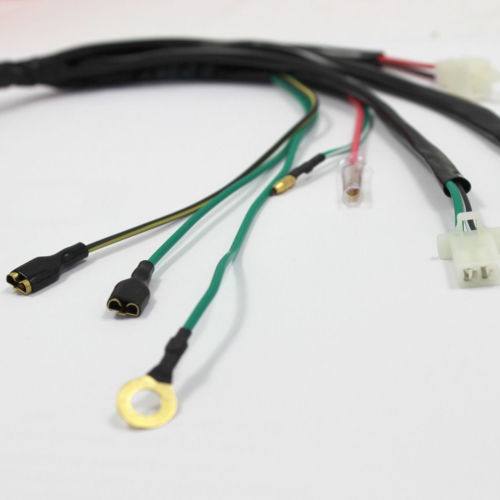 Zongshen Engine 150cc 155cc Z155 Wiring Loom Harness - TDRMOTO