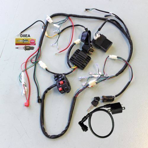 Complete Engine DC Wiring Harness Wiring Loom 200cc 250cc ATV Quad Bike Buggy - TDRMOTO